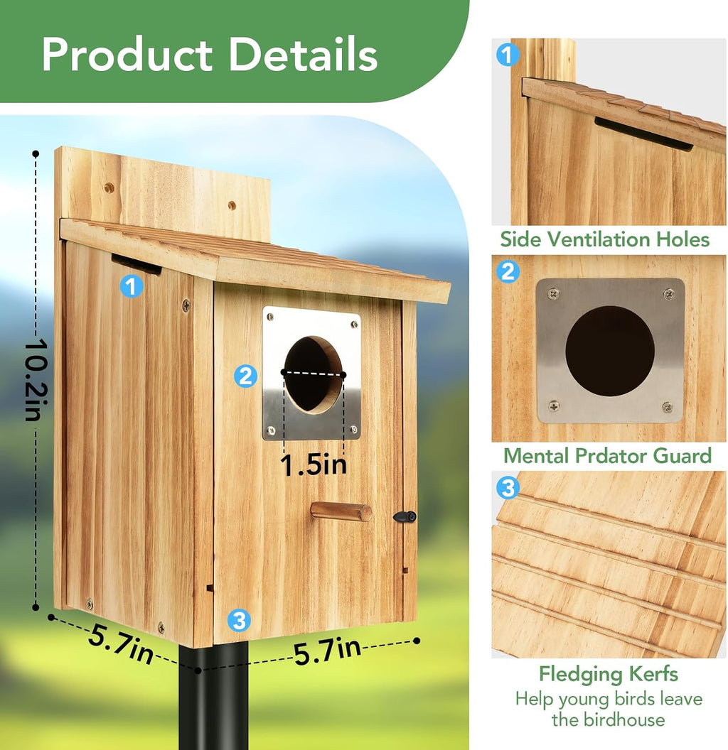 2 Pack Bird Houses for Outside, 1-1/2" Entrance Cedar Birdhouse | Outdoor Bird House with Metal Predator Guard