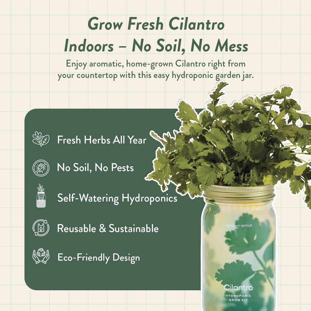 Modern Sprout MasonJar+Replant Kit-Self-Watering Hydroponic System-Cilantro | Growing System Kit w/Organic Herb Seeds