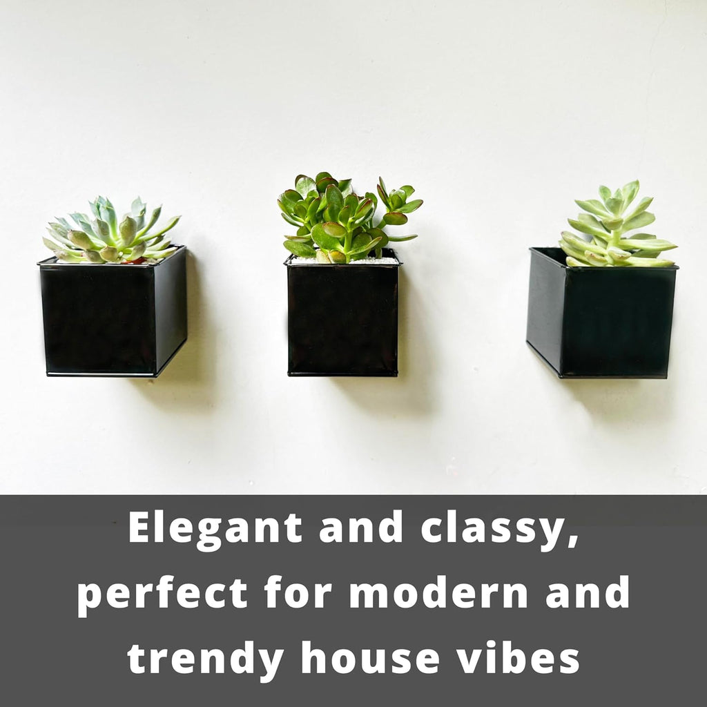 LaLaGreen Indoor Wall Planter (4 in, 6 Pack) Black Square Metal Wall Decor | Wall decor plant shelf black square small