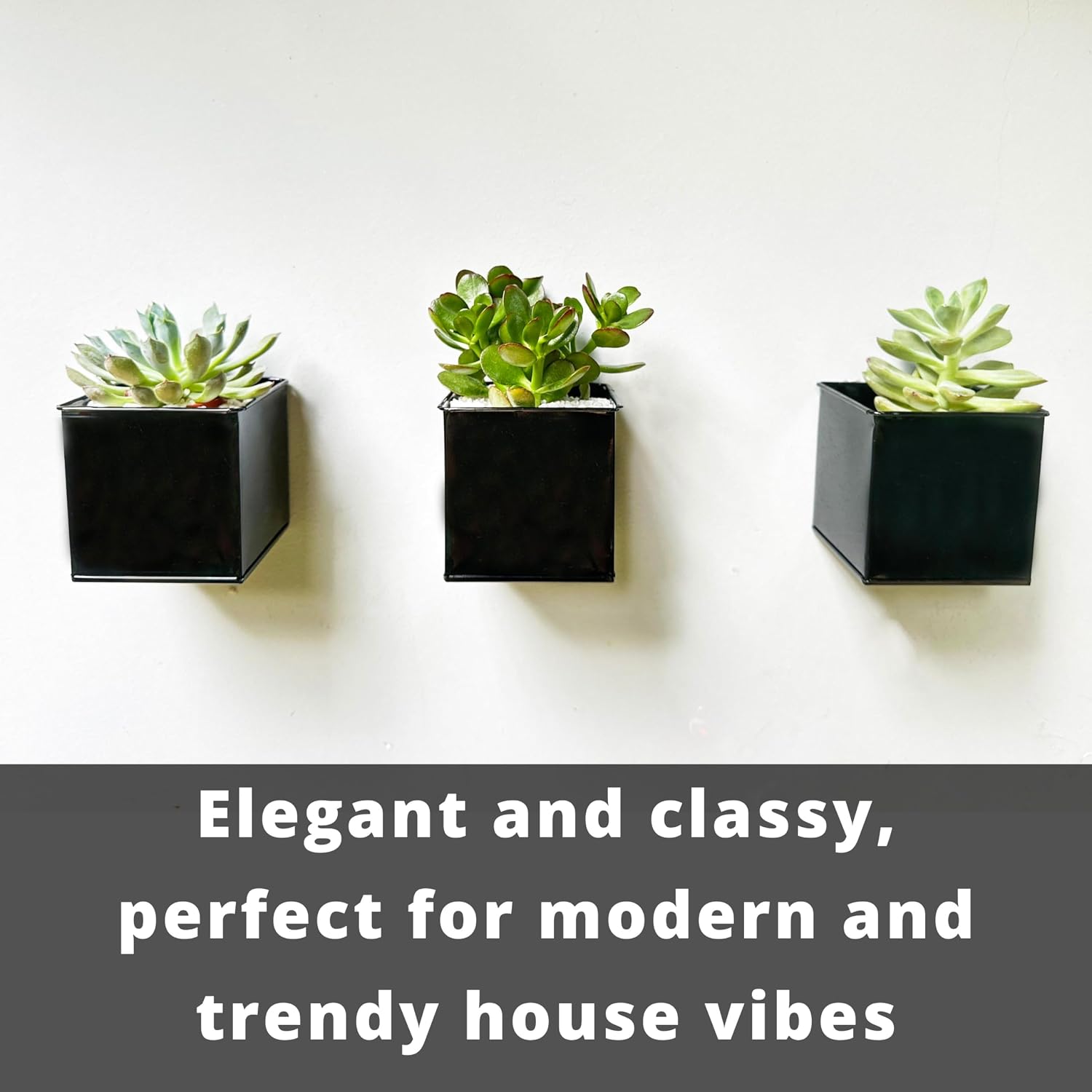 LaLaGreen Indoor Wall Planter (4 in, 6 Pack) Black Square Metal Wall Decor | Wall decor plant shelf black square small