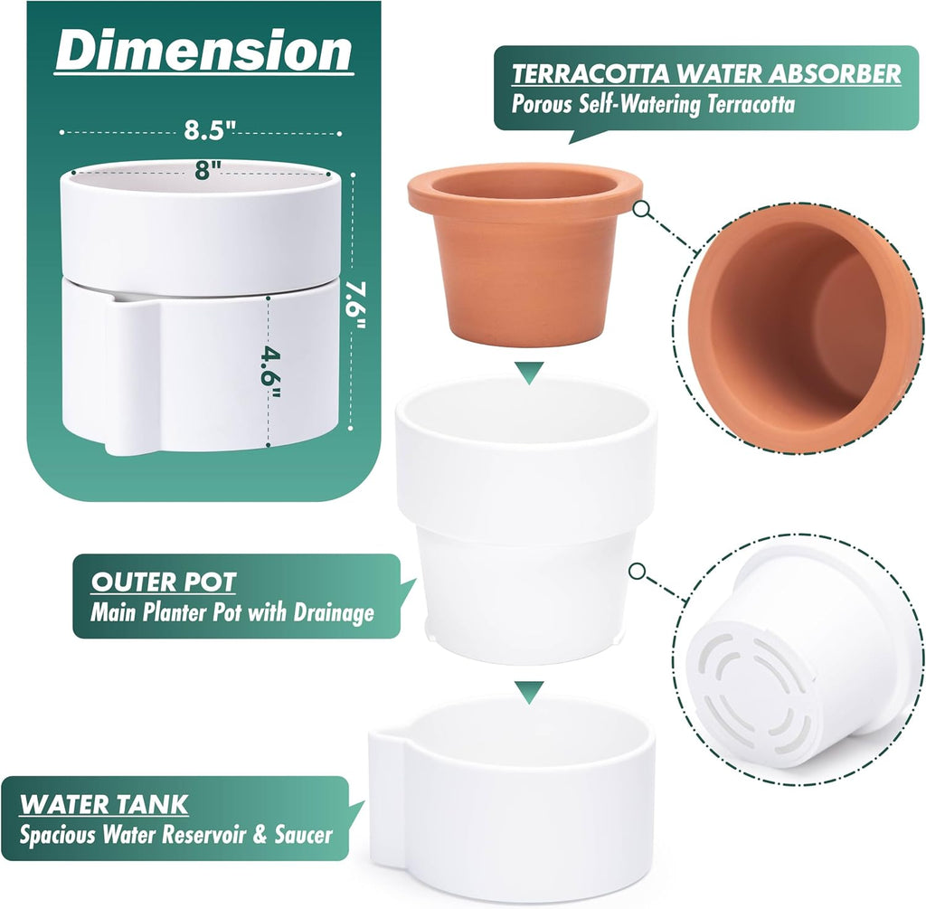 Phoenix Vine 8 Inch Self-Watering Planter Pot with Terracotta Insert, Deep Water Reservoir, and Ceramic-Alike BPA-Free