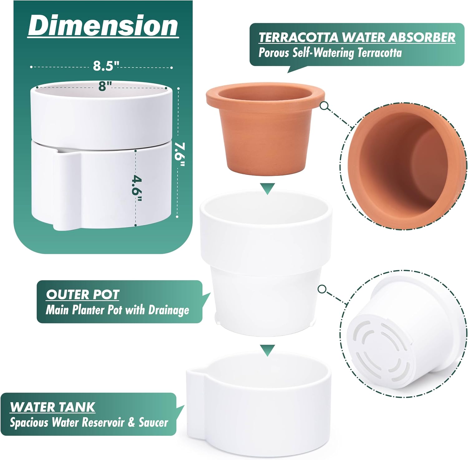 Phoenix Vine 8 Inch Self-Watering Planter Pot with Terracotta Insert, Deep Water Reservoir, and Ceramic-Alike BPA-Free