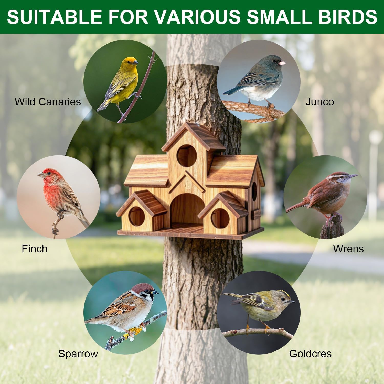 Bird House for Outside, 5-Hole Outdoor Wooden Birdhouse for Chickadee Bluebird Finch Wren Hummingbird, Weatherproof