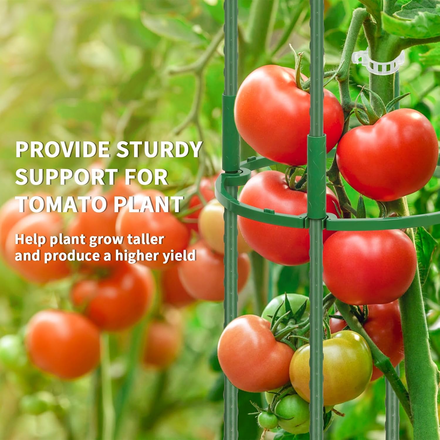 ROADPLUM 3 Pack 48" Round Tomato Cages for Garden, Plastic Coated Steel Pipe Heavy Duty Adjustable Tomato Stakes