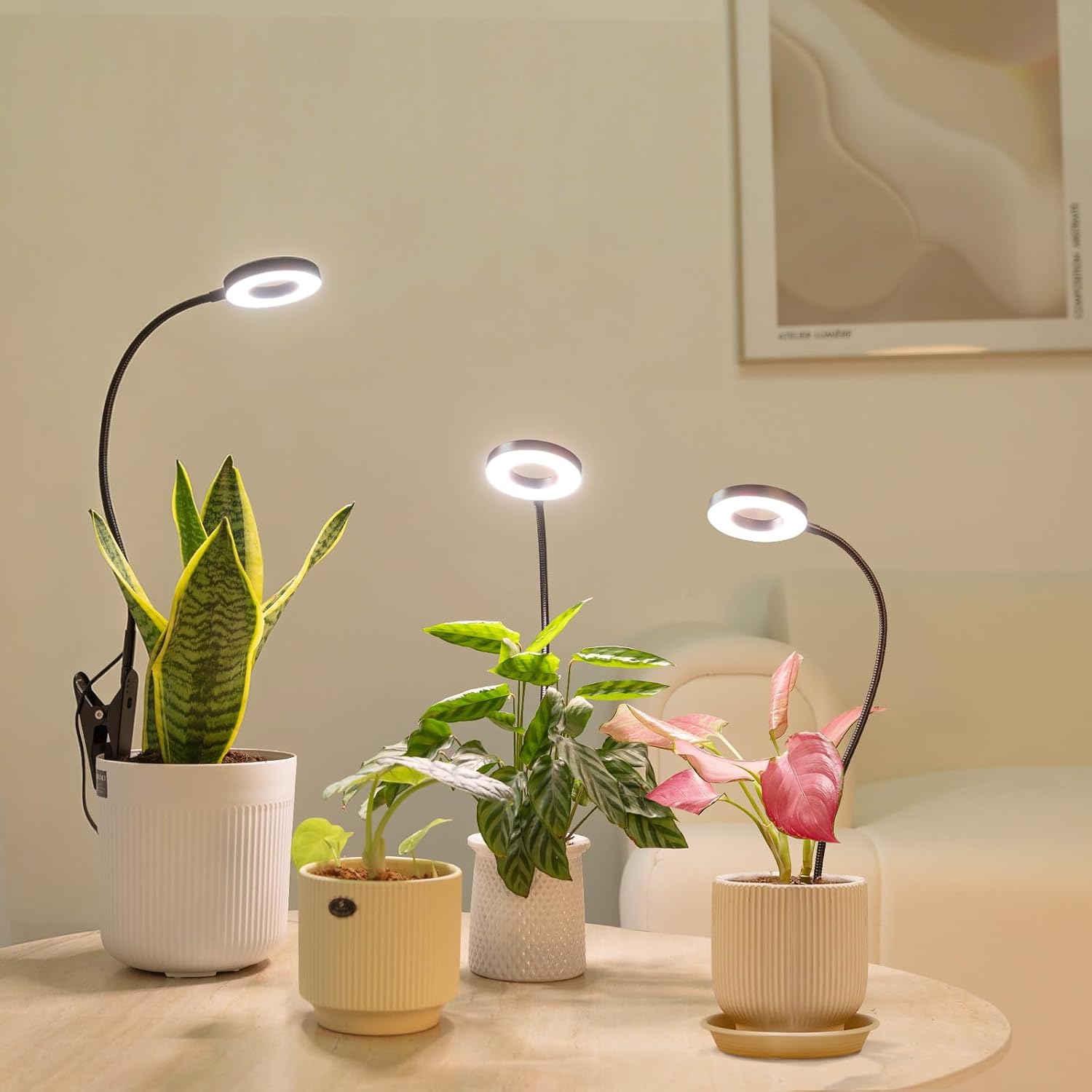 LORDEM Grow Lights for Indoor Plants, 2 in 1 Full Spectrum Plant Light with 360° Gooseneck, 48 LEDs, Auto Timer