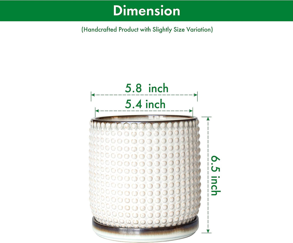 D'vine Dev Beaded Ceramic Pot with Saucer, 6 in, Smoked White, 27-C-X-1 | Embossed Dot Texture, Smooth Glazed Finish