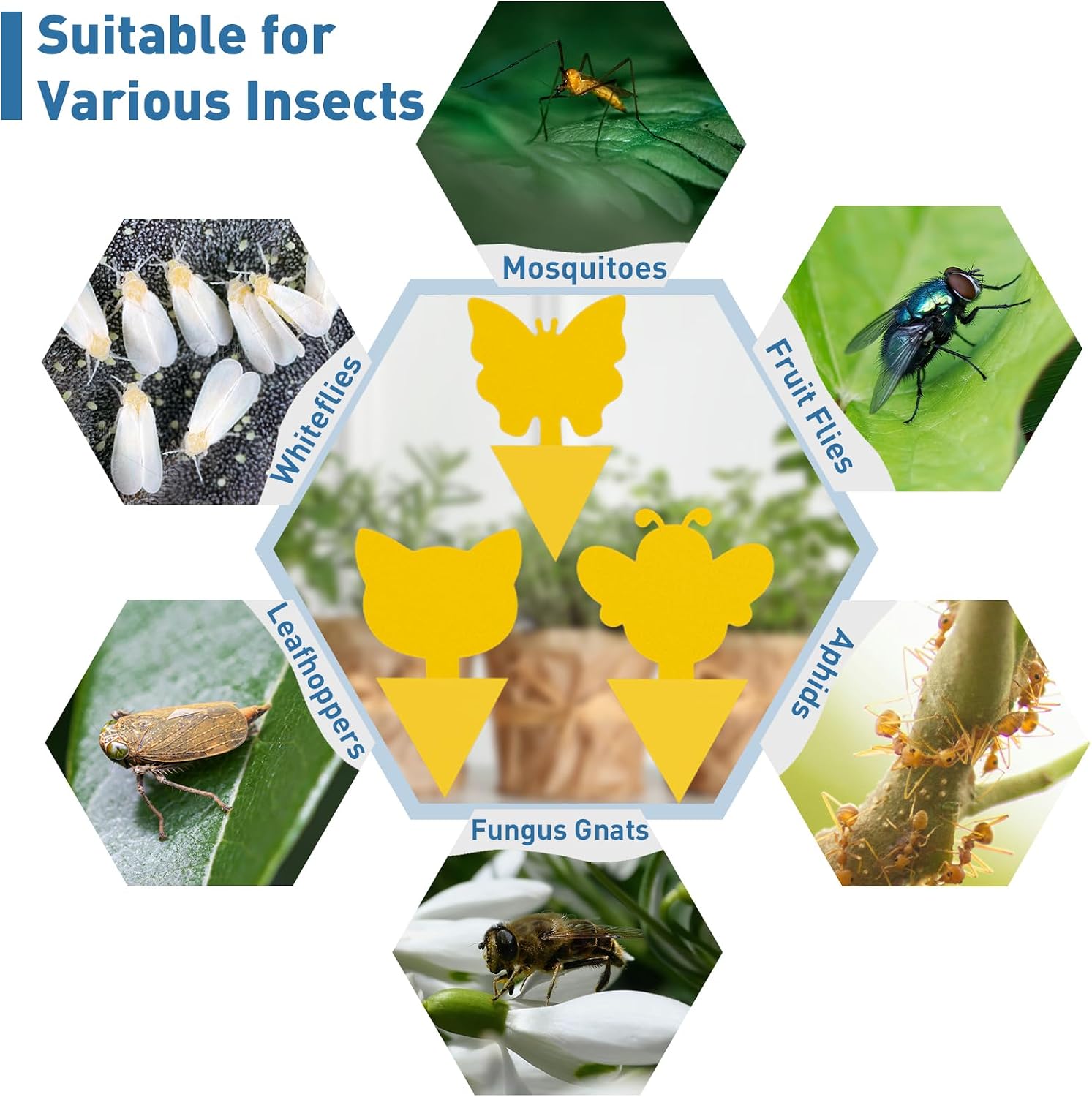 96 Pack Fruit Fly Traps for Indoor Outdoor, 3 Shapes Yellow Sticky Bug Traps, Double-Side Fungus Gnat Killer for