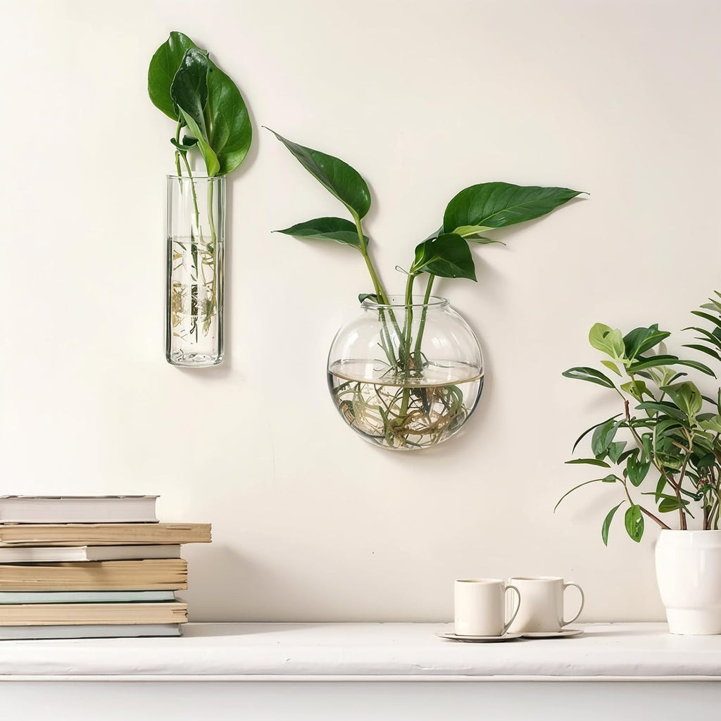 6 Pcs Glass Wall Hanging Vase Indoor Propagation Planter with Hanging Suction Cup and Plastic Invisible Traceless