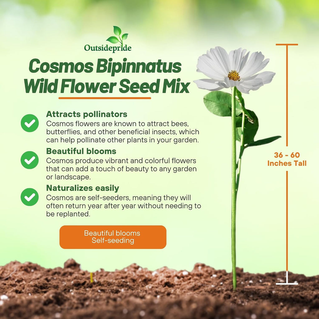 Outsidepride Sensation Mix Cosmos Bipannatus Seeds - 1 lb. Annual, Drought-Tolerant, Self-Sowing, Mixed Flower Seeds