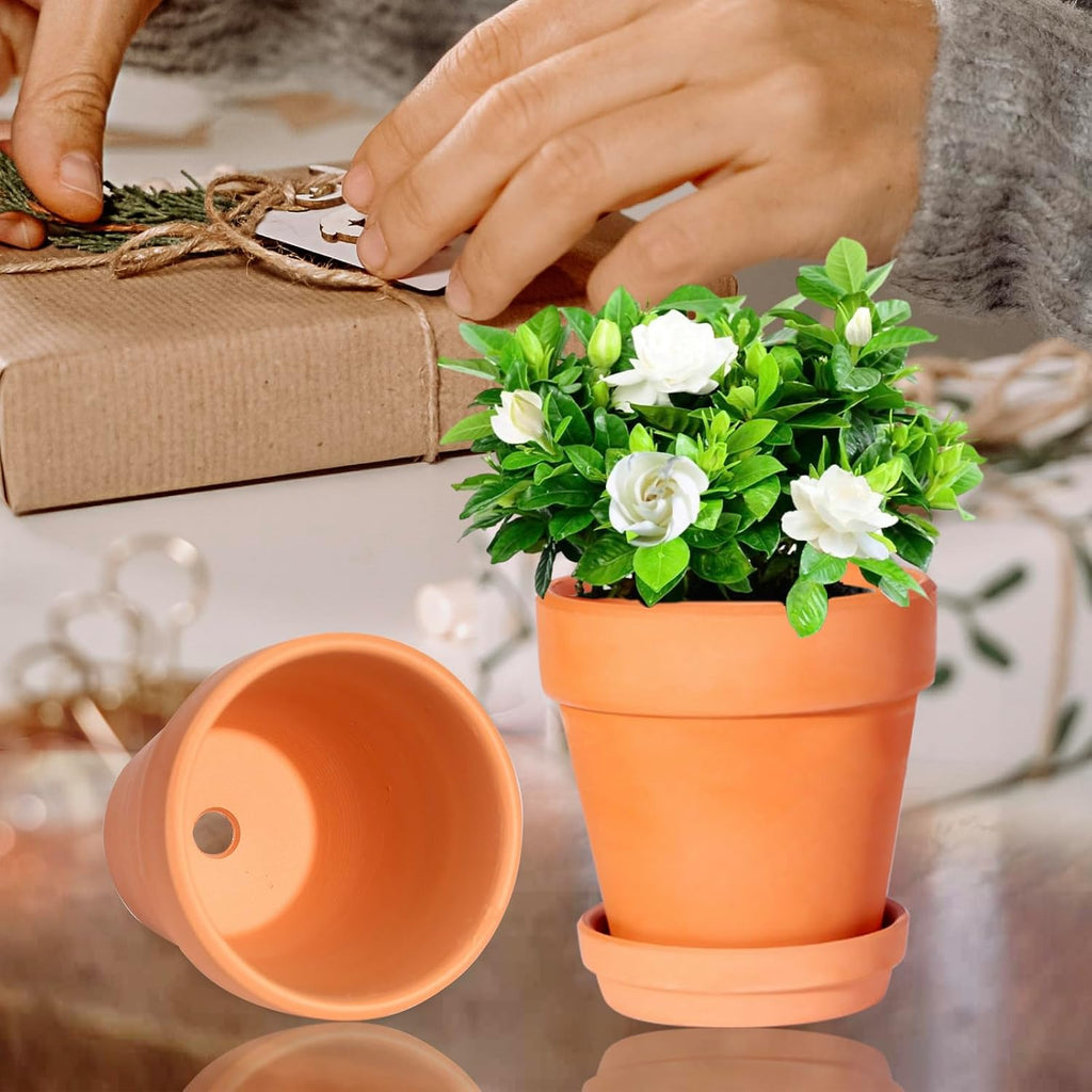 3 Inch Terracotta Pots with Saucer-20 Pack Succulent Cactus Plant Pots with Drainage Hole, Great for Plants Garden