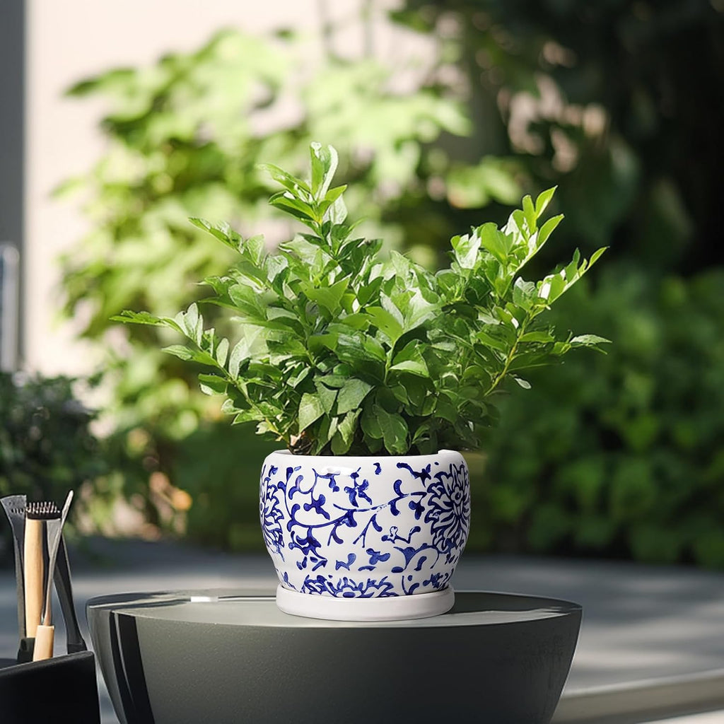 SQOWL 6 Inch Planter - Ceramic Plant Pots Indoor with Drainage Hole and Saucer, Round Ceramic Flower Pot Outdoor
