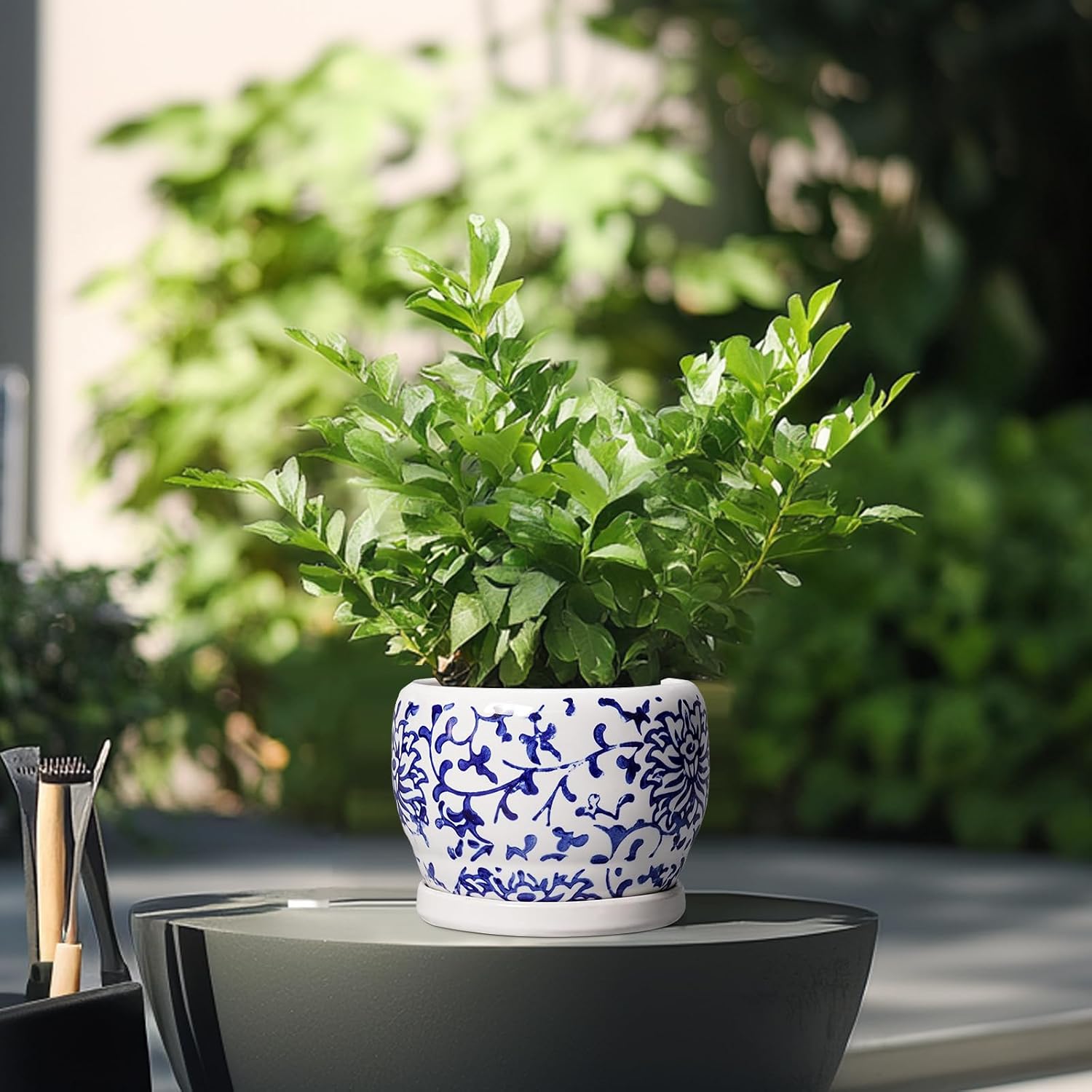 SQOWL 6 Inch Planter - Ceramic Plant Pots Indoor with Drainage Hole and Saucer, Round Ceramic Flower Pot Outdoor