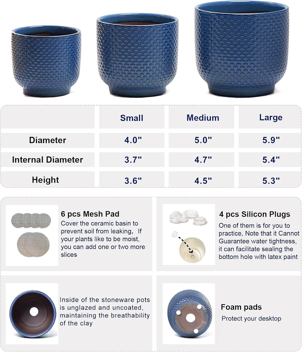 4 + 5 + 6 Inch Ceramic Pots for Indoor Plants, Succulents Plant Pots, Orchid Flower Pot with Drainage Hole, Modern Clay