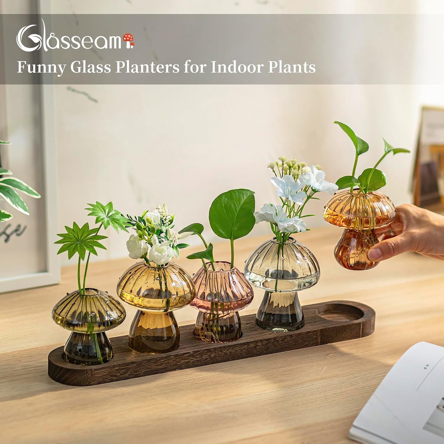 Glasseam 5 Pcs Mushroom Propagation Station: Glass Terrarium Jar for Plants | With Wood Stand, Fall Colored, Handmade
