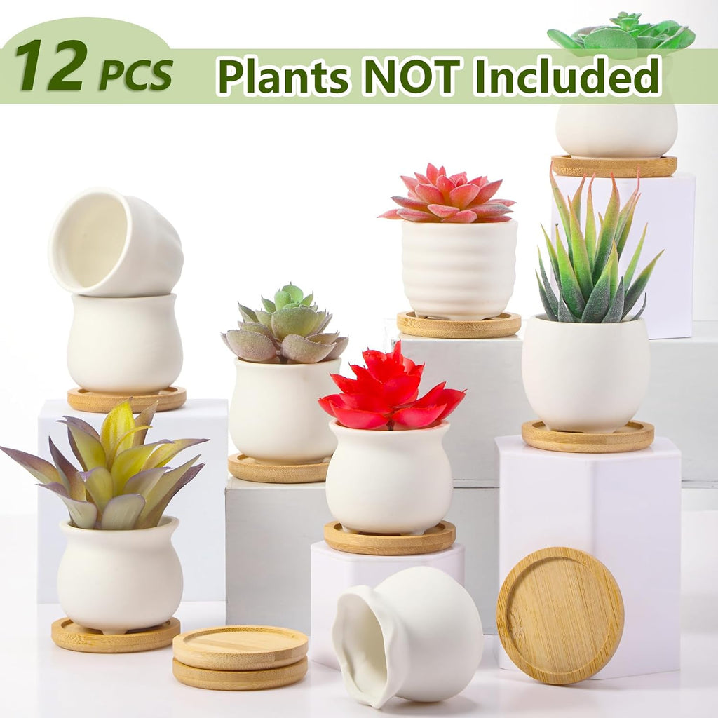 12 Pcs 2.5 Inch Mini Succulent Pots with Bamboo Tray White Ceramic Pots Color Your Own DIY Small Planters Containers