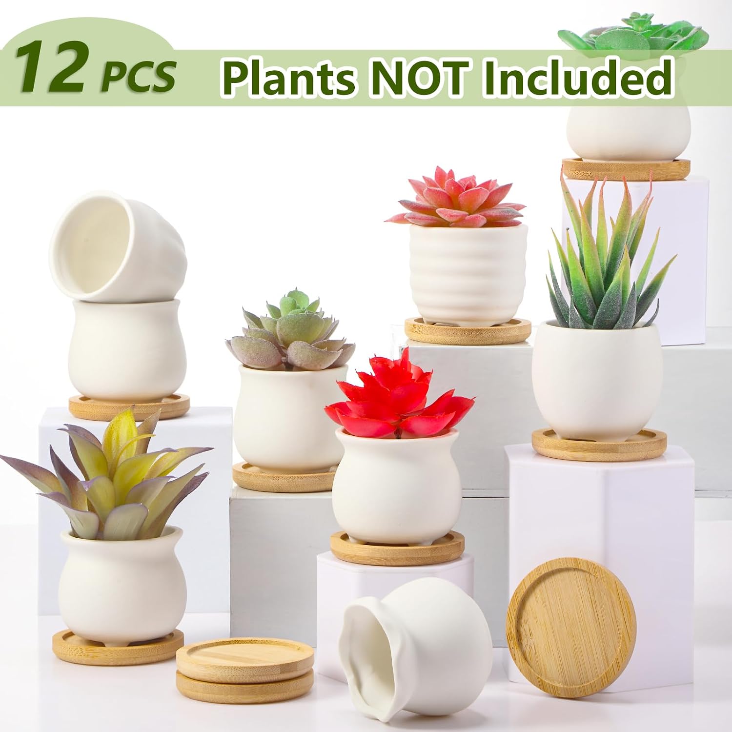 12 Pcs 2.5 Inch Mini Succulent Pots with Bamboo Tray White Ceramic Pots Color Your Own DIY Small Planters Containers
