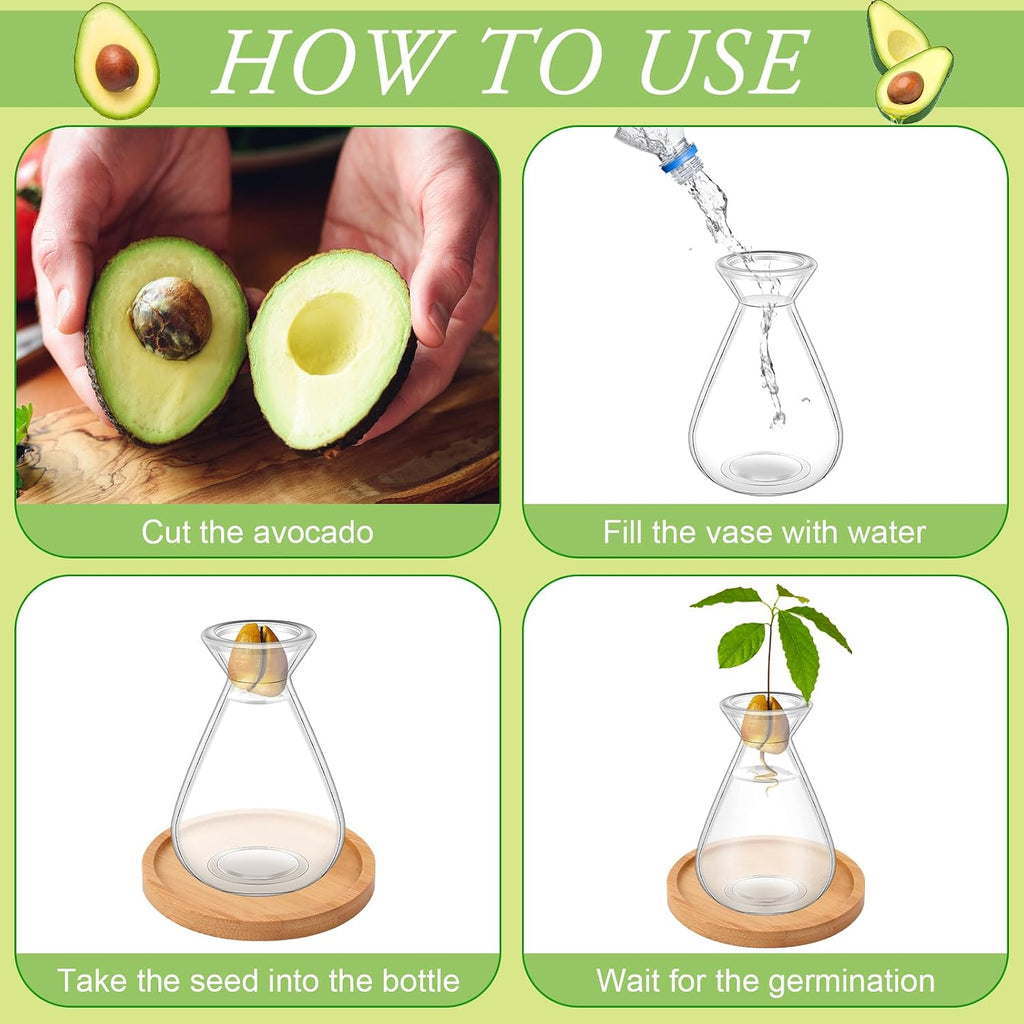 6Pcs Small Avocado Seed Starter Vase with Bamboo Base Avocado Tree Growing Vase Kit Avocado Seed Sprout Starter Vase