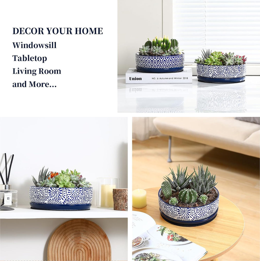 Selamica Ceramic Succulent Pots, Shallow Succulent Planters with Drainage Hole & Saucer, Indoor Plant Pots for Cactus