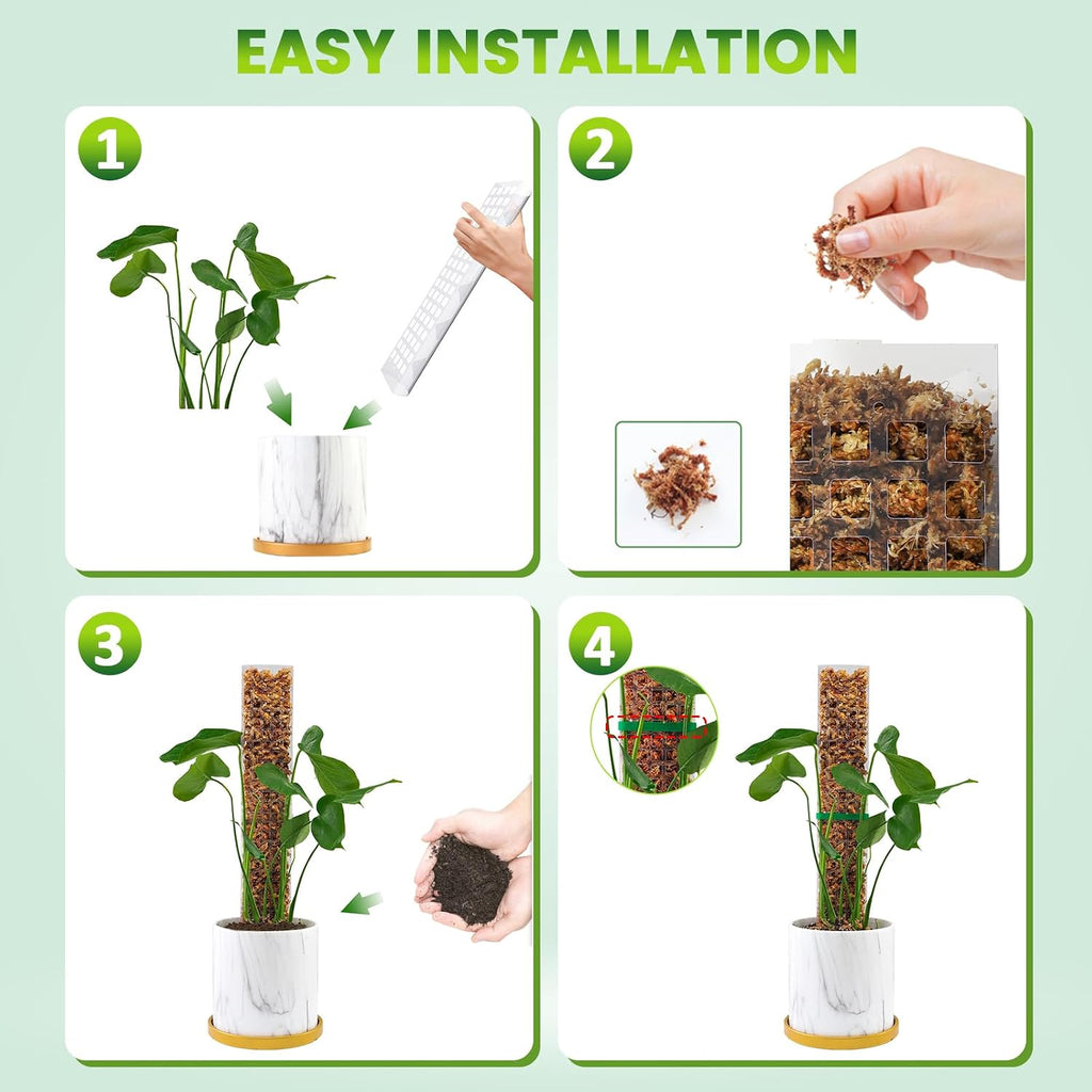EOX Plastic Moss Pole Kit for Monstera, 15-Inch, 4-Pack, 5.3oz Moss | Clear D-Shaped Design, Fold-to-Assemble, Includes