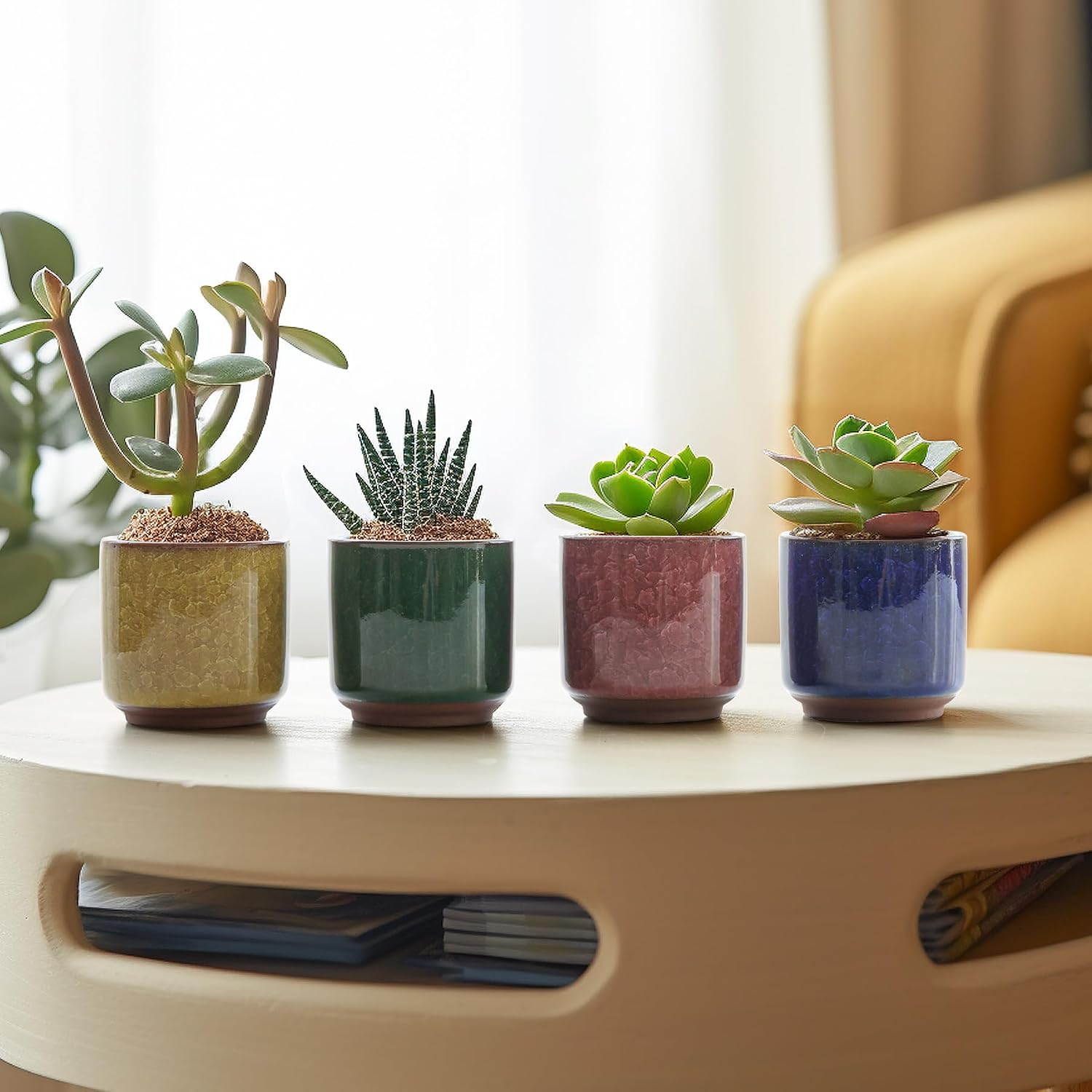 T4U 2.5 Inch Small Ceramic Succulent Planter Pot with Drainage Hole Set of 12, Ice Crack Glaze Plant Container for