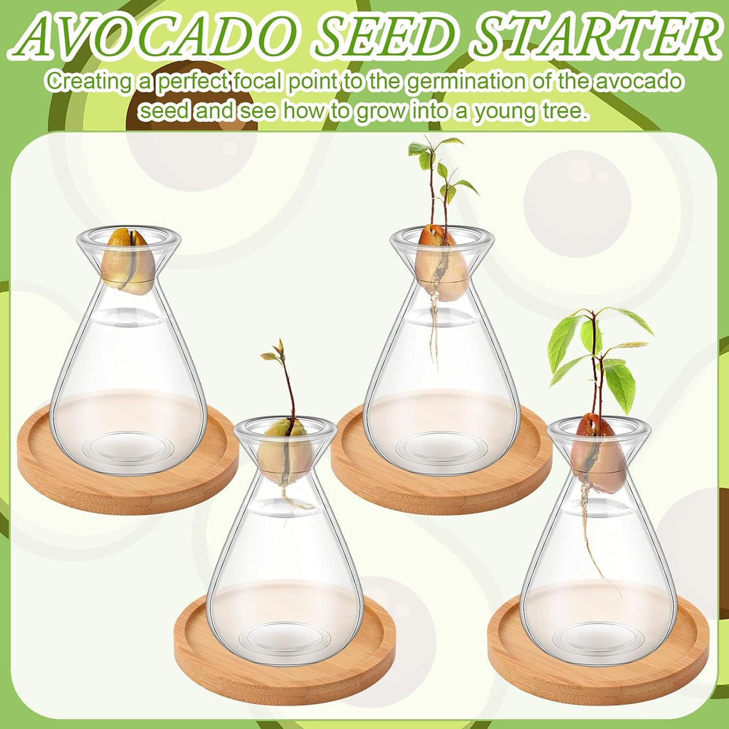 6Pcs Small Avocado Seed Starter Vase with Bamboo Base Avocado Tree Growing Vase Kit Avocado Seed Sprout Starter Vase