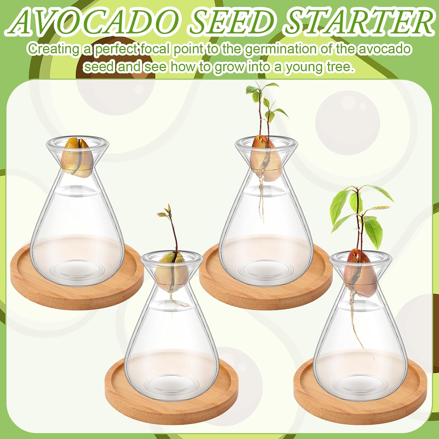 6Pcs Small Avocado Seed Starter Vase with Bamboo Base Avocado Tree Growing Vase Kit Avocado Seed Sprout Starter Vase