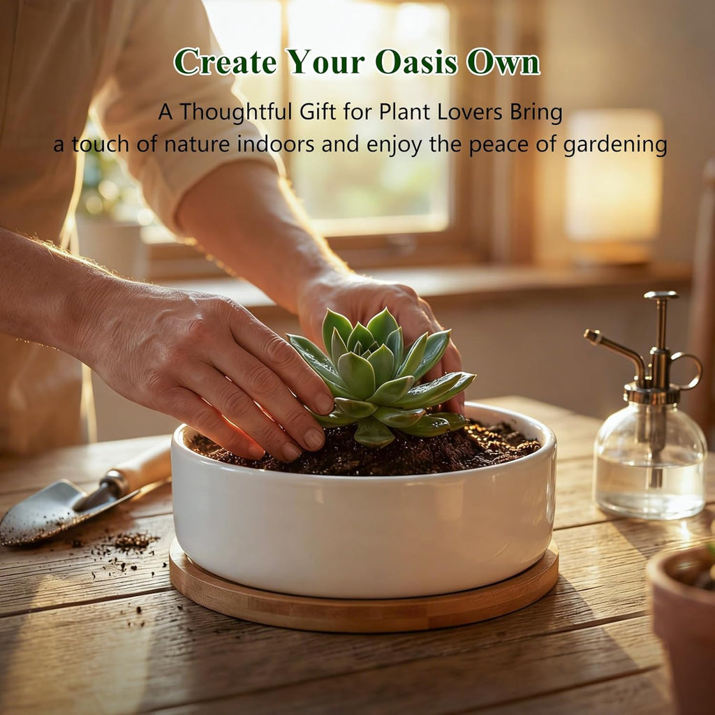 ZOUTOG Succulent Pots,6 Inch Succulent Planters with Drainage and Tray,White Ceramic Planters for Indoor Plants,Round