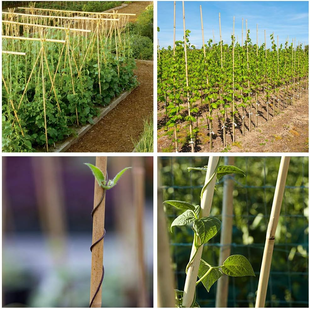 Natural Bamboo Stakes 4 Feet, Eco-Friendly Garden Stakes, Plant Stakes Supports Climbing for Tomatoes, Trees, Beans, 25