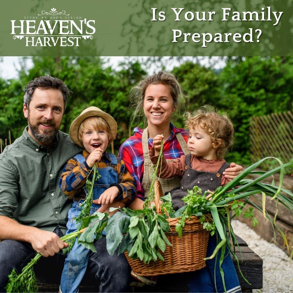 Heaven’s Harvest - 10 Year Survival Or Homestead Garden | 25k+ Heirloom Vegetable Seed Bank Kit | Includes Seed Vault