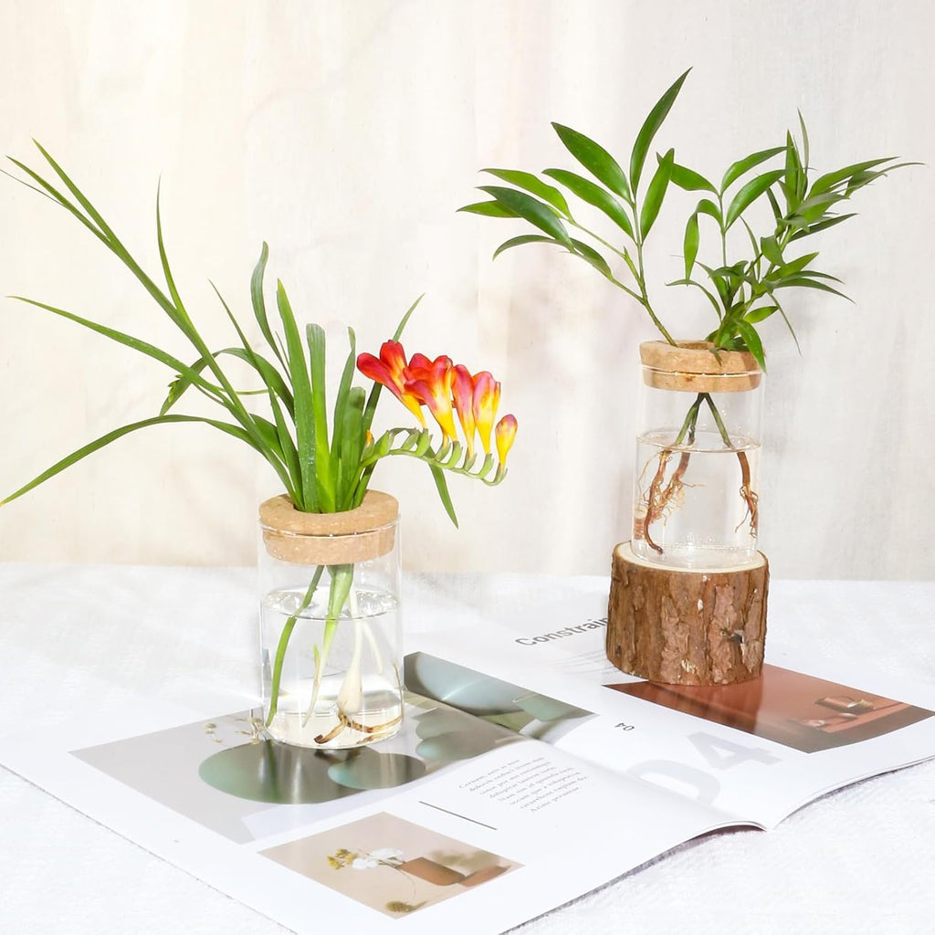 Separated Desktop Glass Flower Vases with Wooden Saucers - Ideal Plants Propagation Stations for Living Room, Bedroom