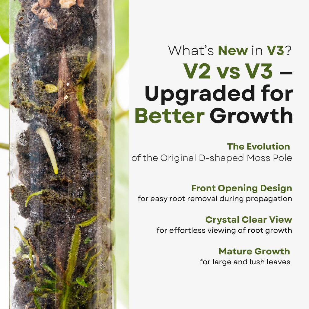 V3 GrowPole Small 10 Pcs - Front Opening Plastic Moss Poles for Climbing Plants, D-Shaped Moss Pole for Monstera Plant