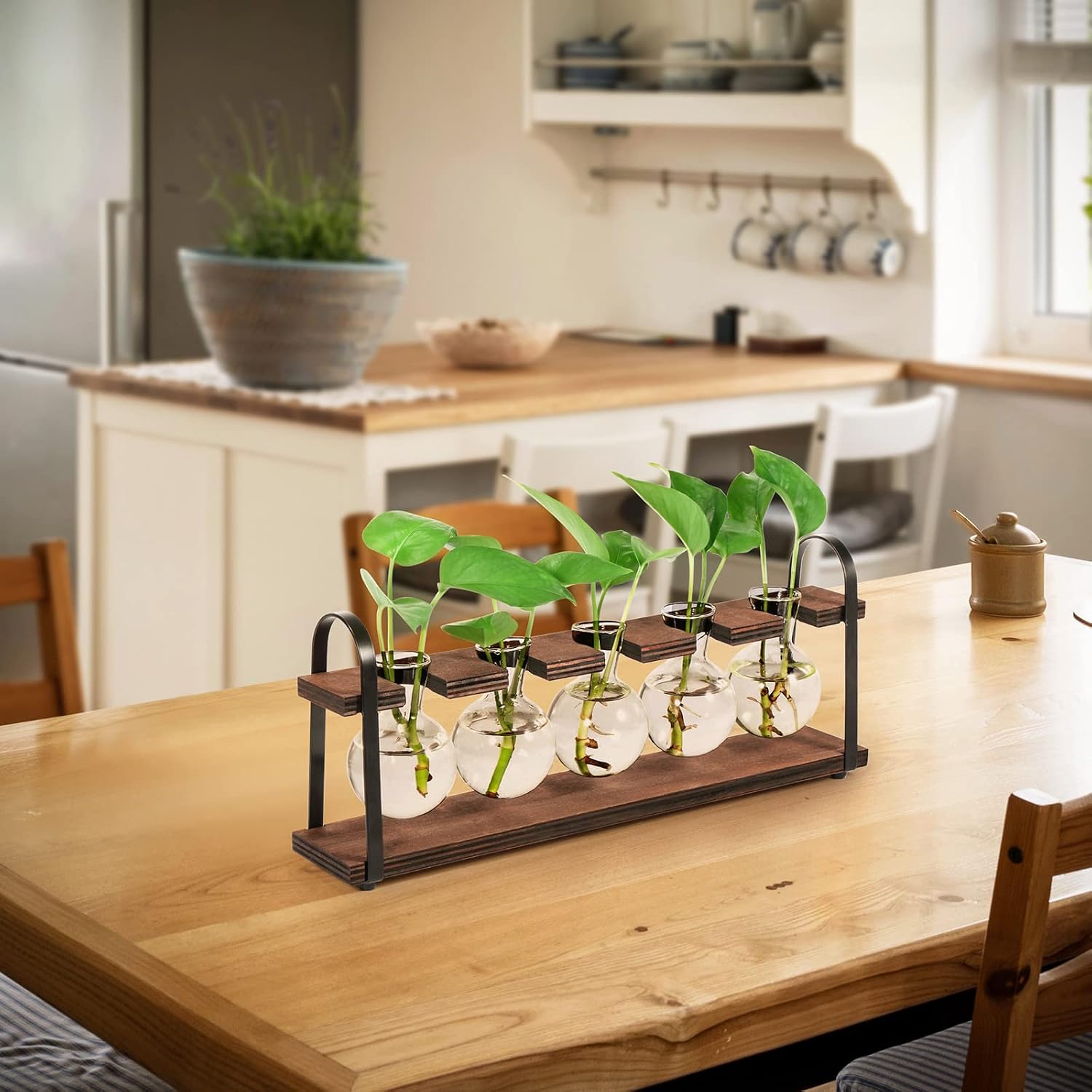 THYGIFTREE Plant Propagation Stations with Wooden Stand | Desktop Retro Plant Terrarium, Bulb Vase for Indoor