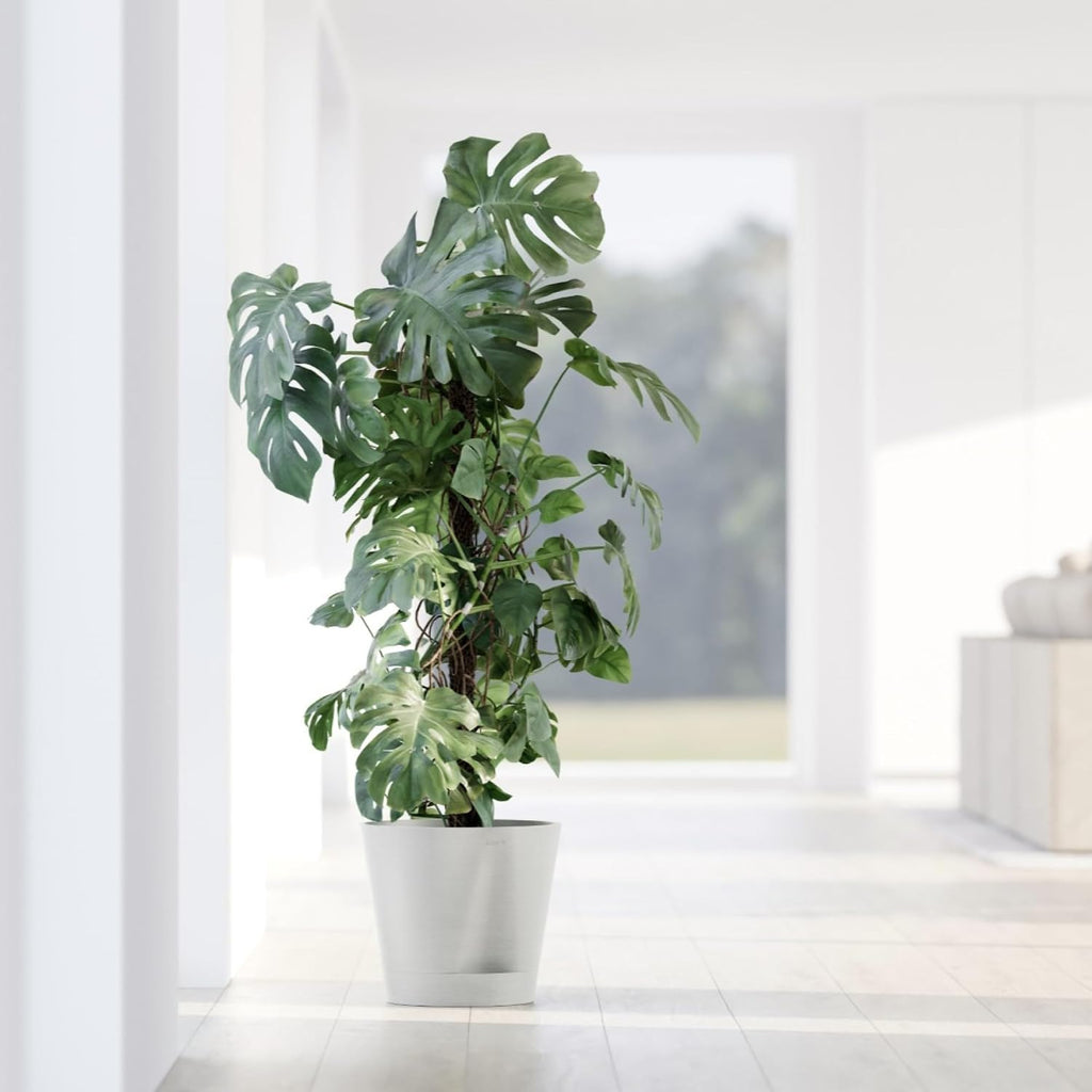 Ecopots Venice 2 Round Flower Planter with Water Reservoir, White Grey, 12" | Self-Watering, Modern Style, Durable