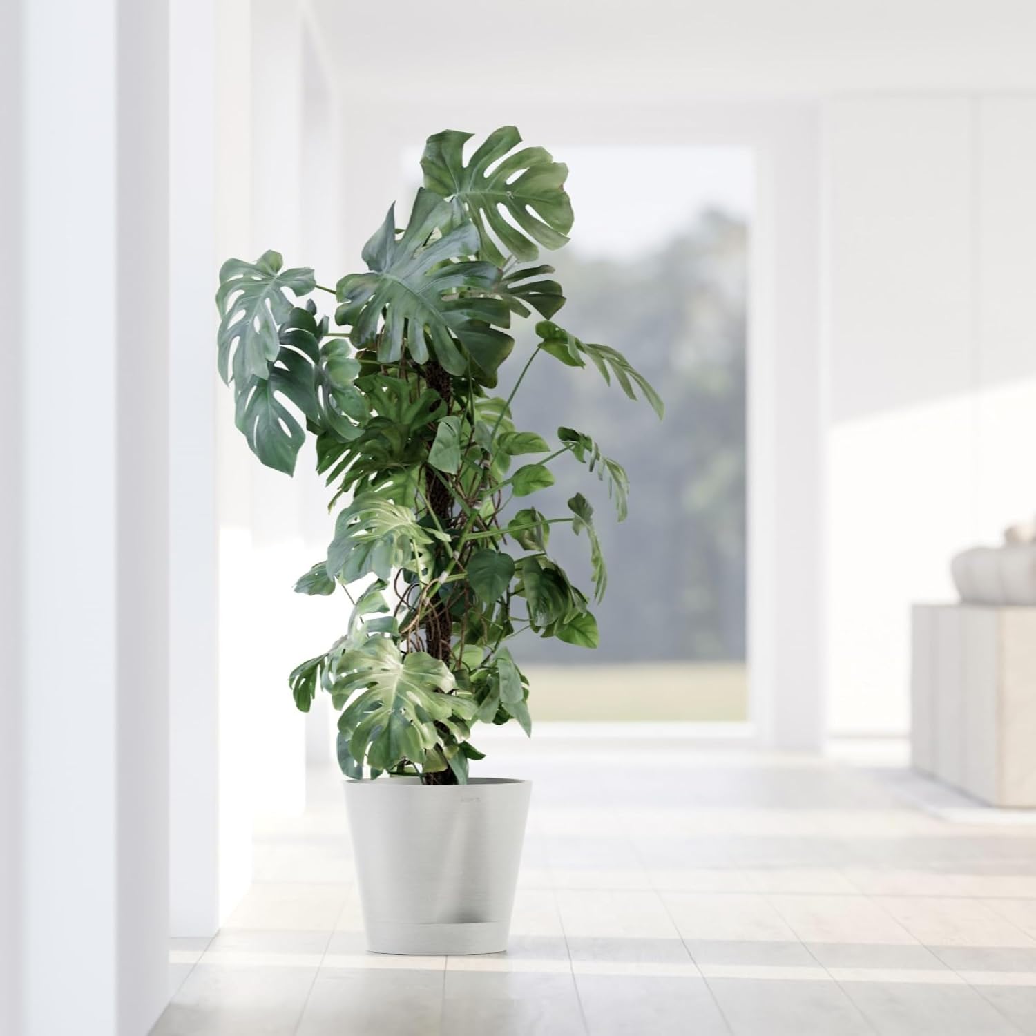 Ecopots Venice 2 Round Flower Planter with Water Reservoir, White Grey, 12" | Self-Watering, Modern Style, Durable