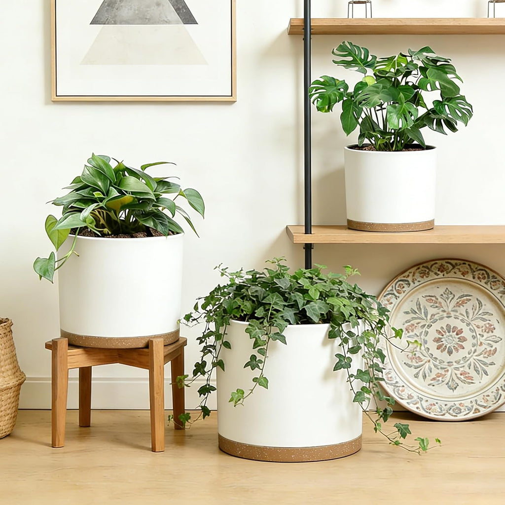 Large Plant Pots Set of 3 – 8", 9", 10" Indoor Flower Pots with Drainage Holes and Saucers, Big Planters for Monstera