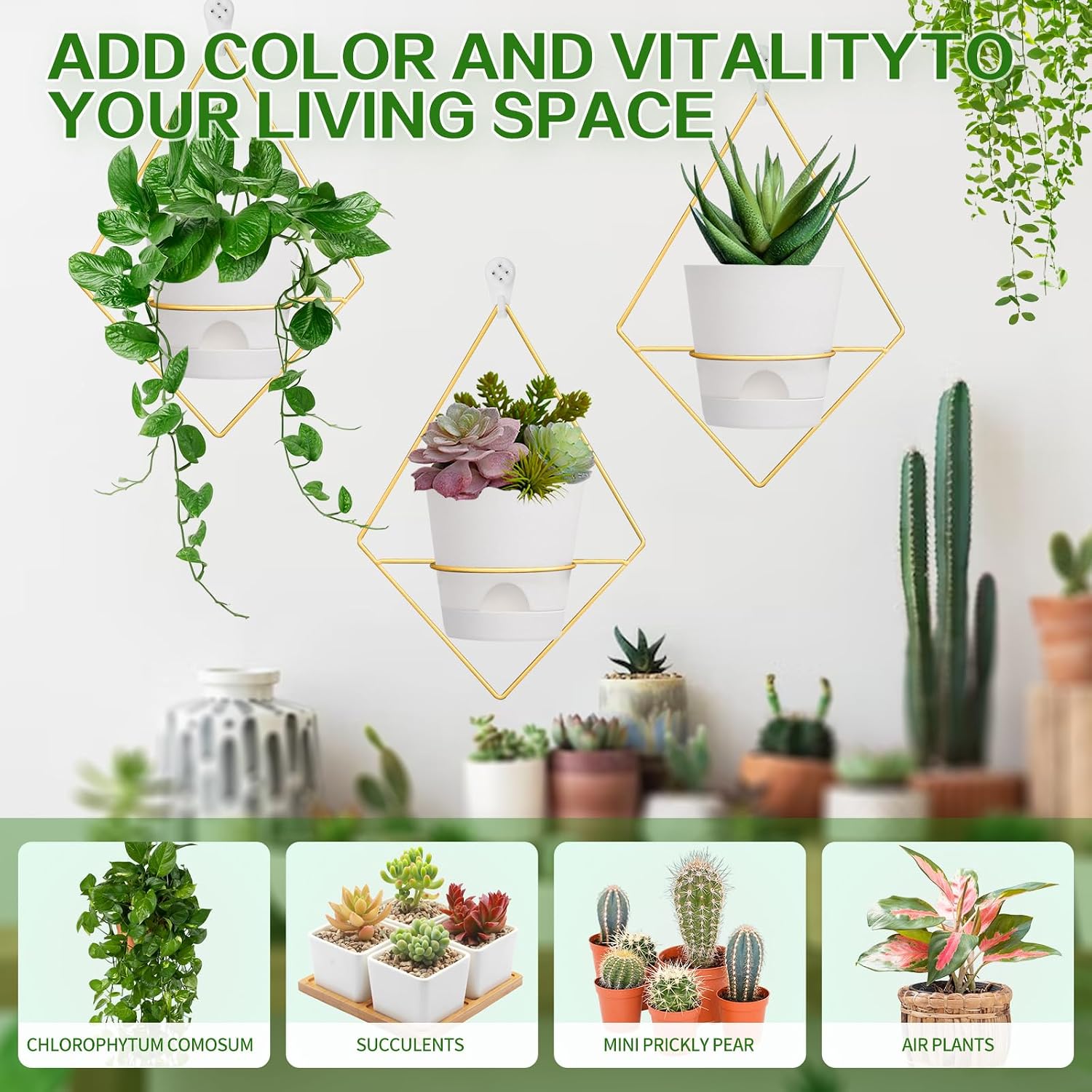 Koalaime 3 Sets Wall Planters for Indoor Plants Geometric Hanging Planters for Indoor Plants - Self-Watering Flower