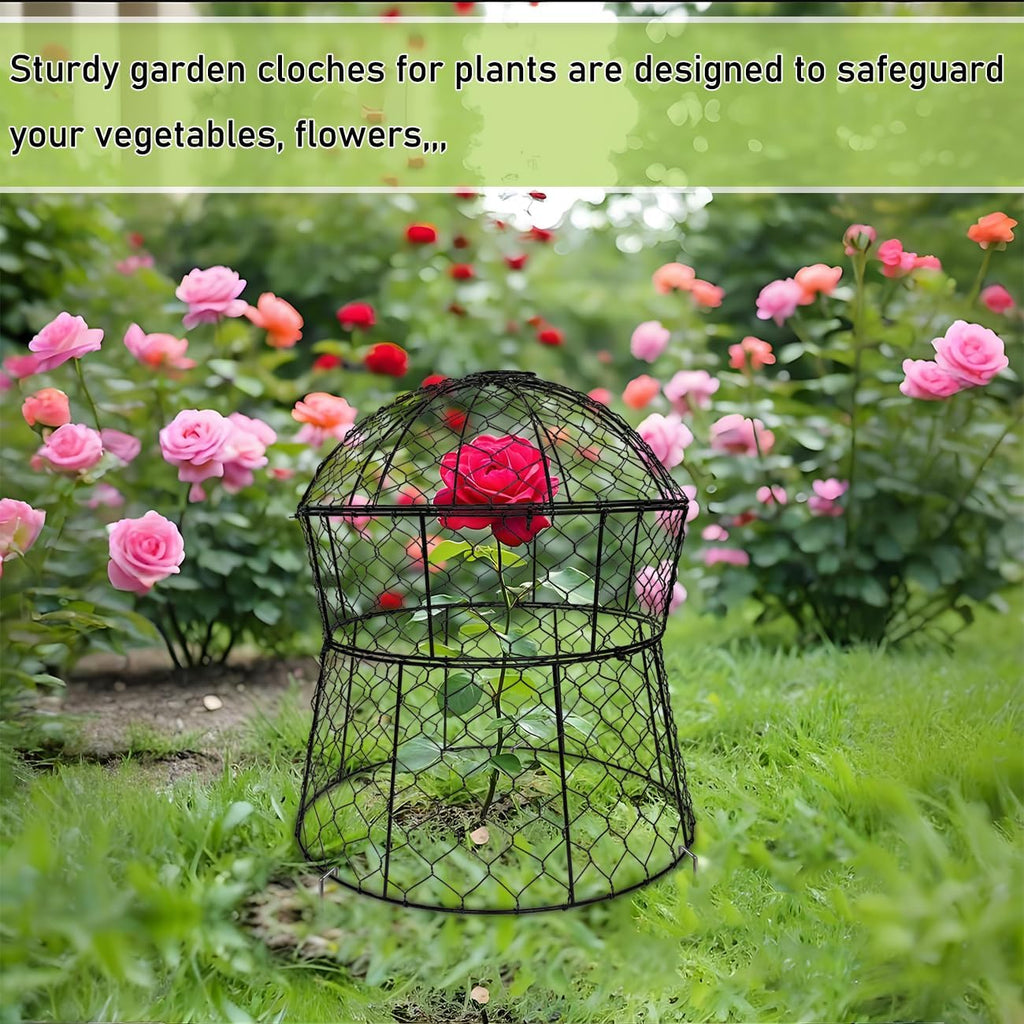 Garden Cloches for Plants 2 Pack Metal Plant Protectors from Animals Chicken Wire Cloche Updated Plant Cages for