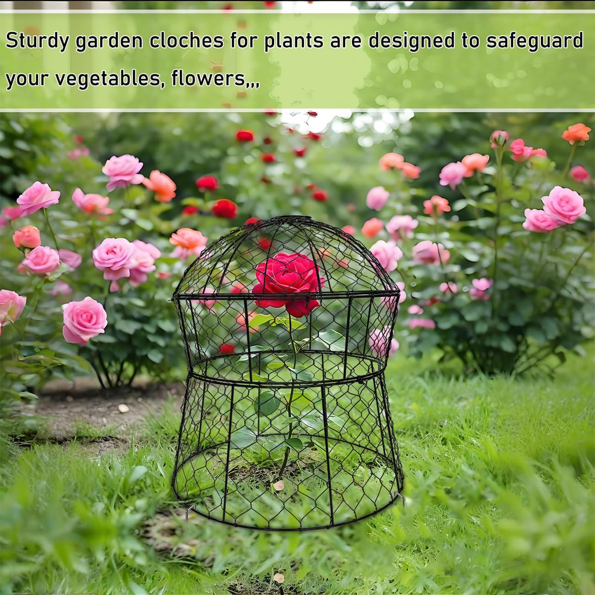 Garden Cloches for Plants 2 Pack Metal Plant Protectors from Animals Chicken Wire Cloche Updated Plant Cages for