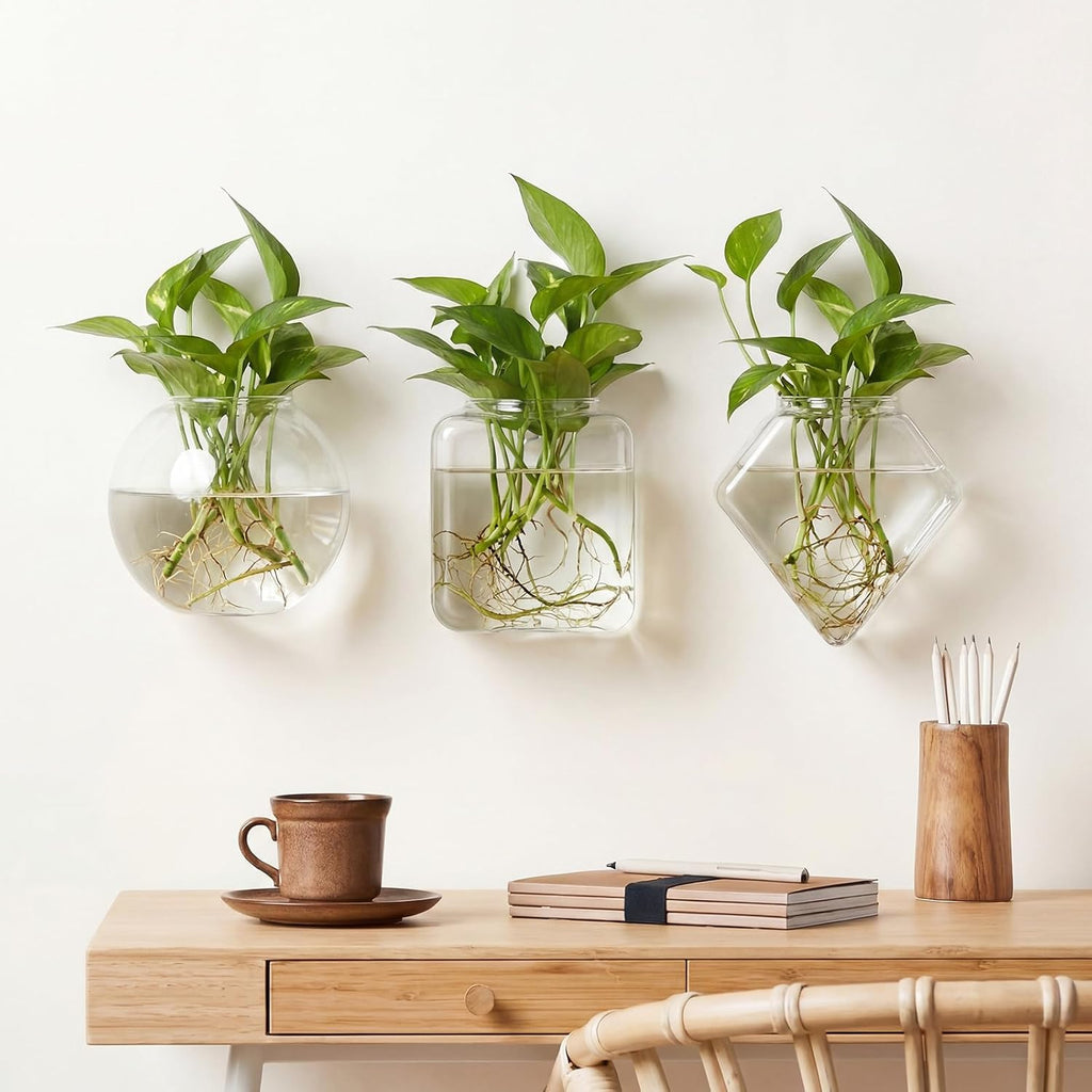 LemonRoad 6 Pcs Wall Hanging Glass Wall Hanging Planter Propagation Station Terrariums Clear Glass Vase Container for