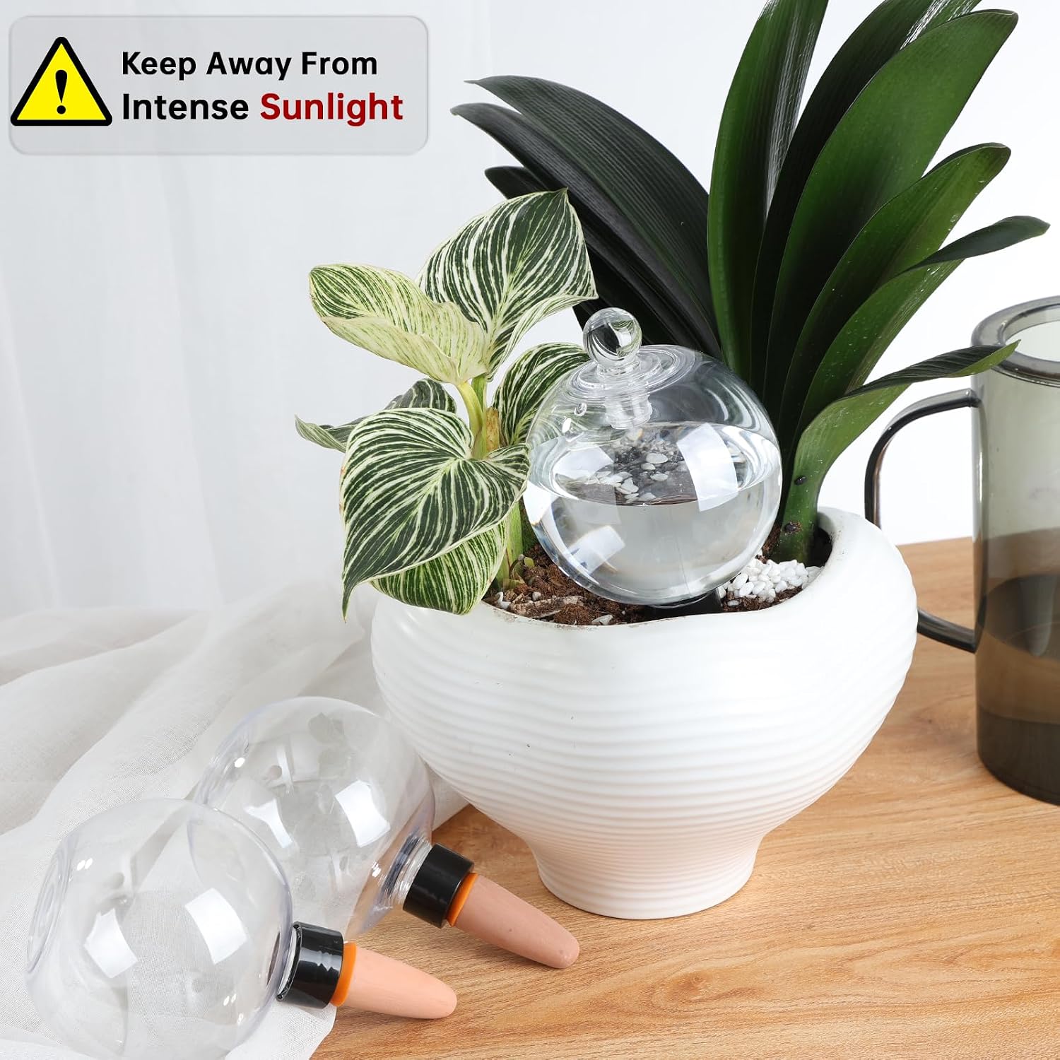 6 Pack Plant Watering Globes with Covers 17oz Self Watering Planter Insert, Plastic Water Bulbs, Indoor/Outdoor Plant