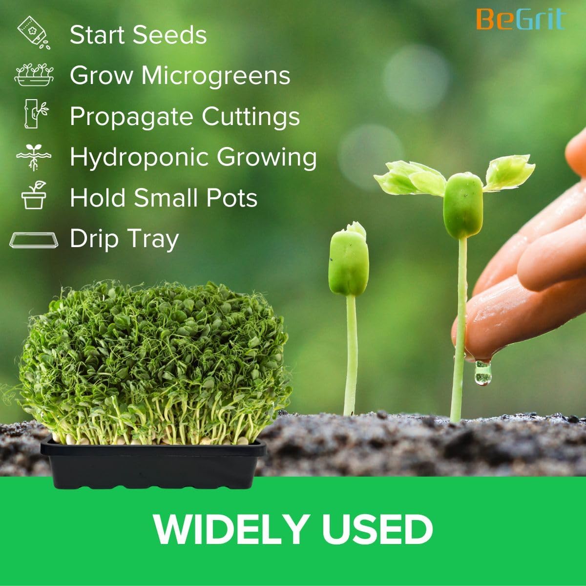 BeGrit 1010 Growing Trays Extra Strength Seed Tray 10" x 10" Without Drain Holes for Seedling Starter Microgreens