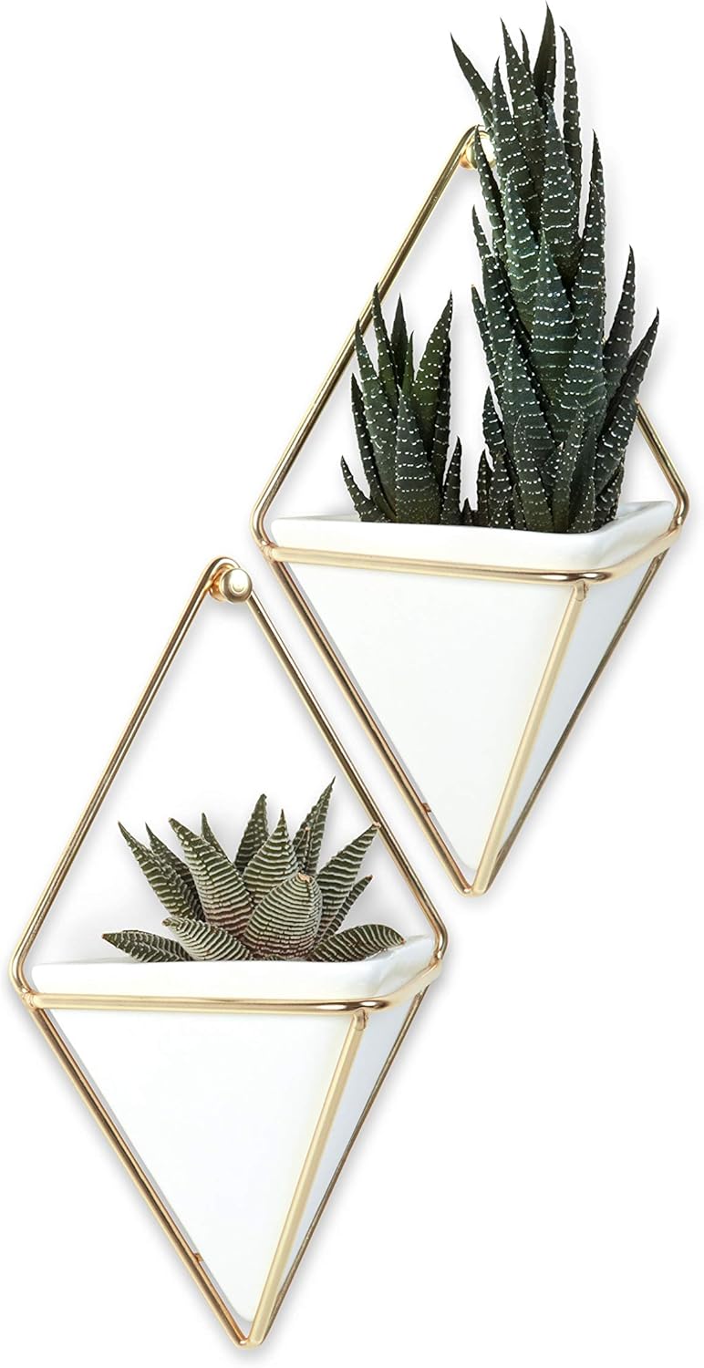 Umbra Trigg Hanging Planter for Small Plants, Set of 2, Small, White/Brass