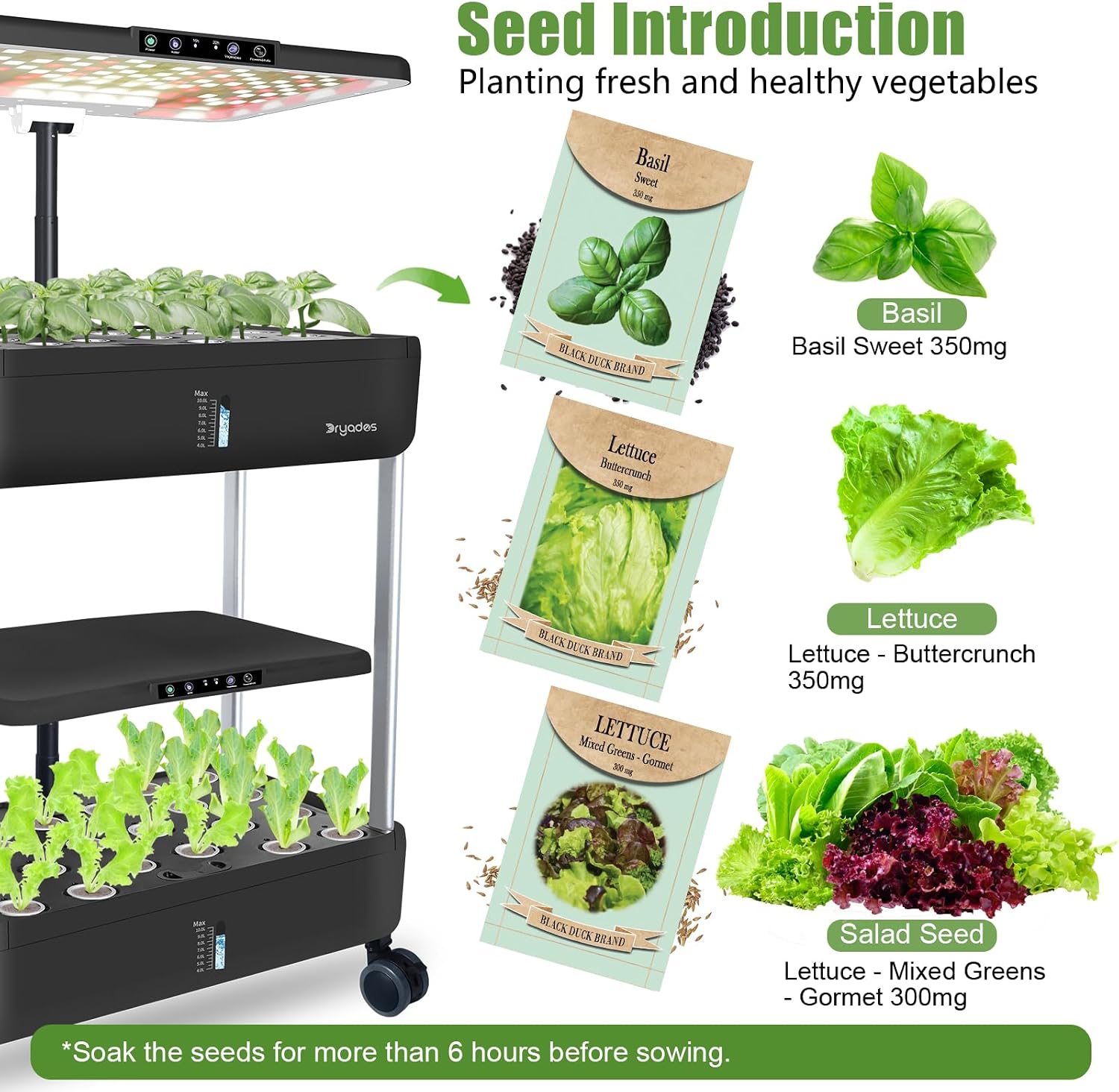 Large Hydroponics Growing System Kit,44-Pod with 3 Seed Packs | Includes Basil, Buttercrunch Lettuce & Gourmet Salad