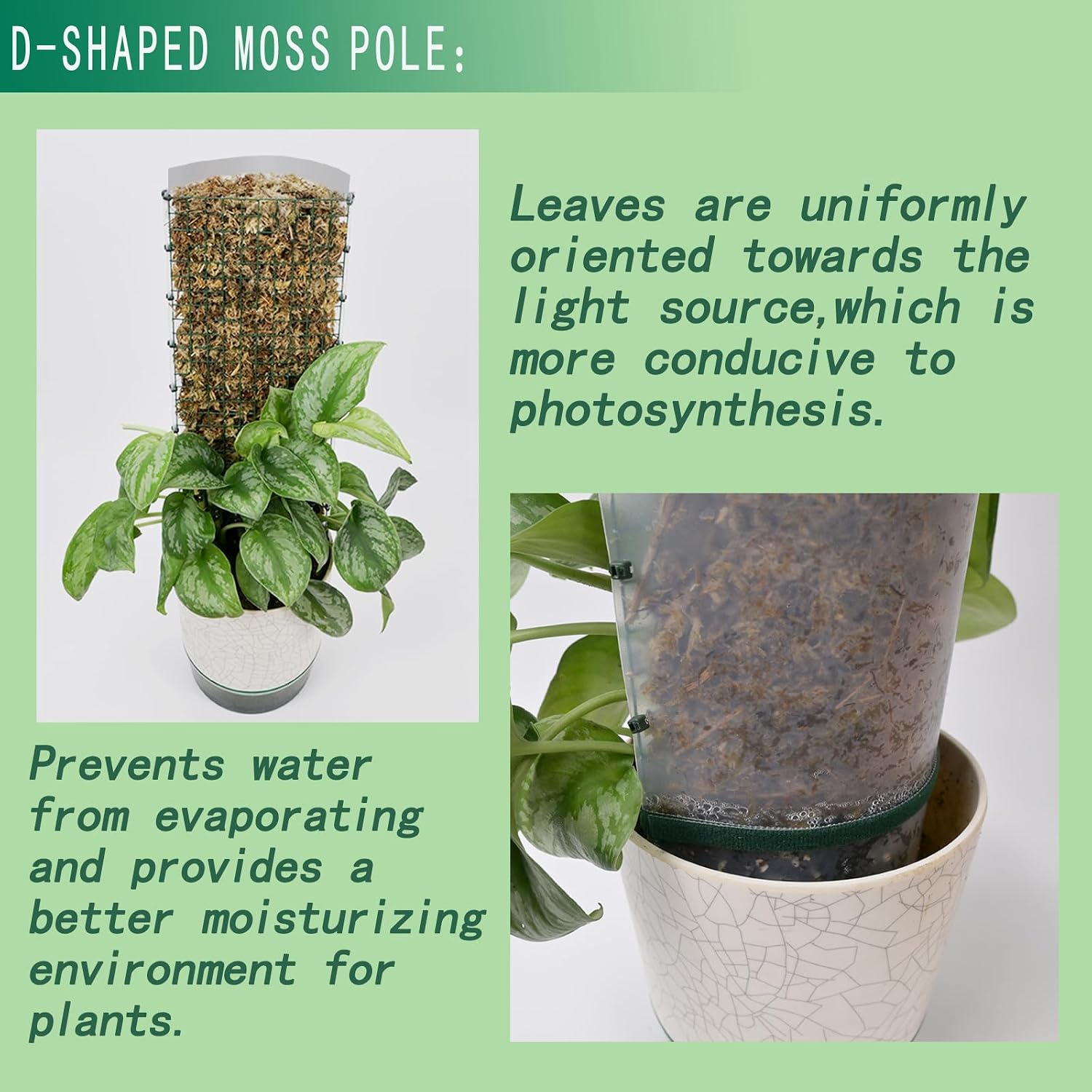 Metal Moss Poles for Climbing Plants, D-Shape Sphagnum Moss Pole Monstera Plant Support for Climbing Plants, DIY Plant