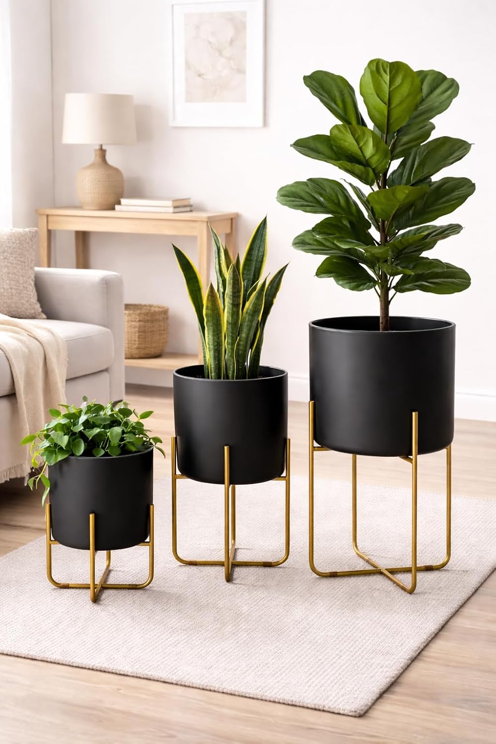 Kirpi Modern Planter Pots, Set of 2 Round Black Planters with Gold Stand, Decorative Floor Planters, Steel Pots with