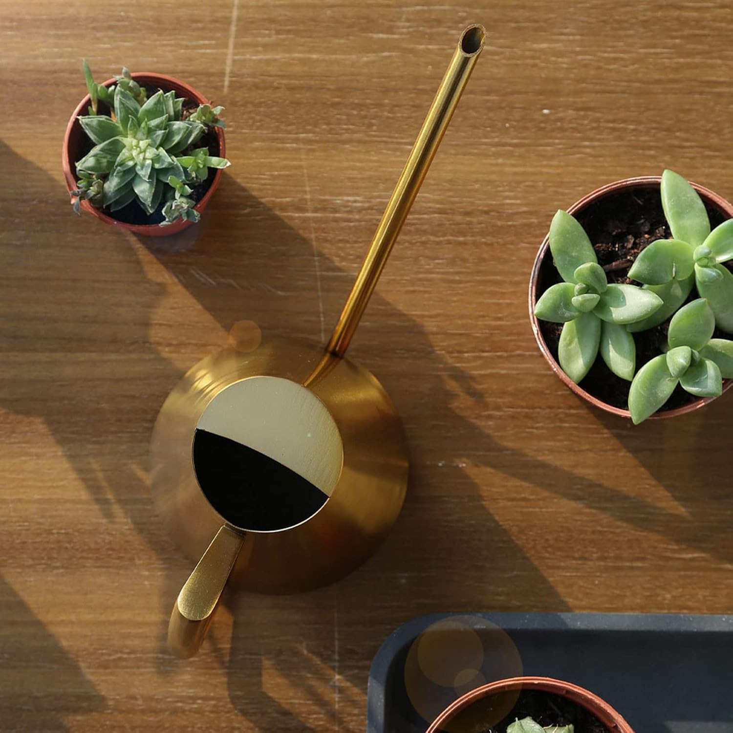 Gold Watering Can 1500ml Stainless Steel Cans Indoor Plants | Long Spout Water Can for Potted Plants, Hanging Plants