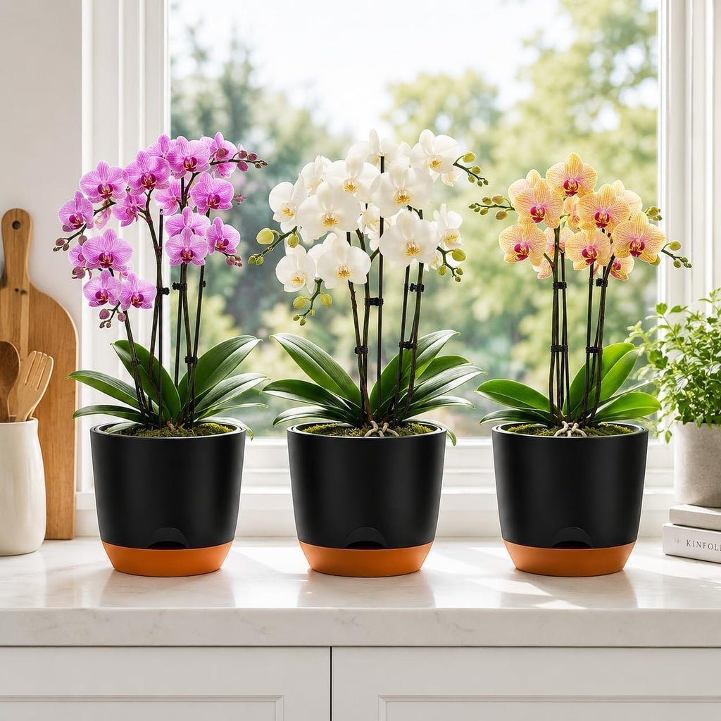 QCQHDU 5.7Inch Orchid Pots with Holes for Repotting, Double-Layer Plastic Self Watering Flower Pots for Indoor Plants