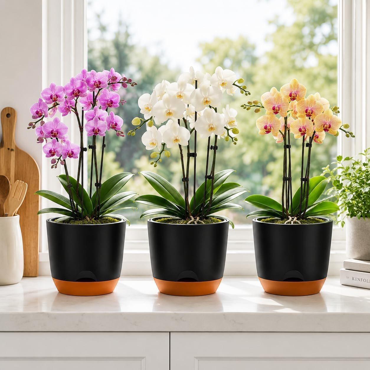 QCQHDU 5.7Inch Orchid Pots with Holes for Repotting, Double-Layer Plastic Self Watering Flower Pots for Indoor Plants