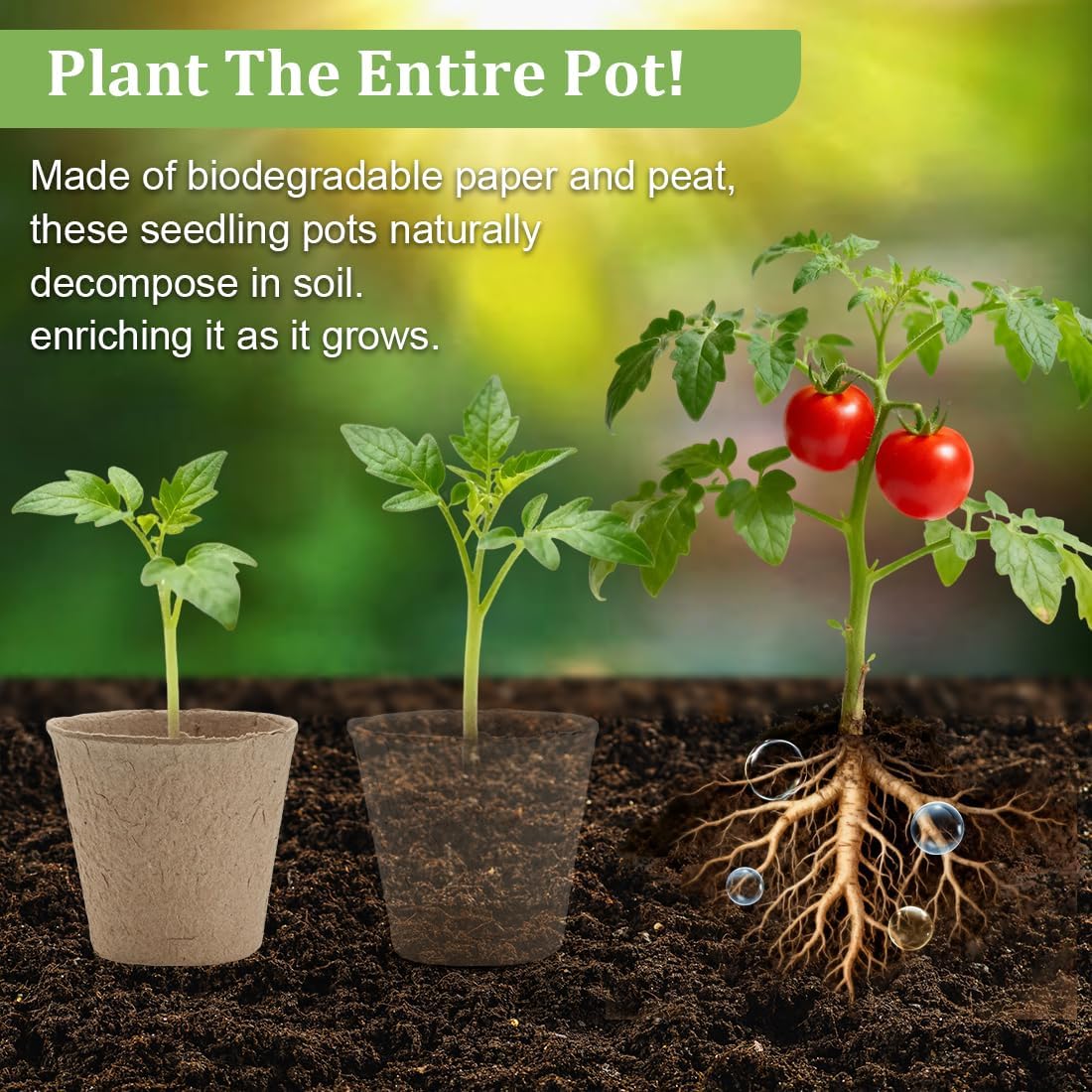 RooTrimmer 3.15 Inch Peat Pots 100 Pcs with 20 Cell Seedling Trays 5 Pcs, Biodegradable Seed Starter Pots with