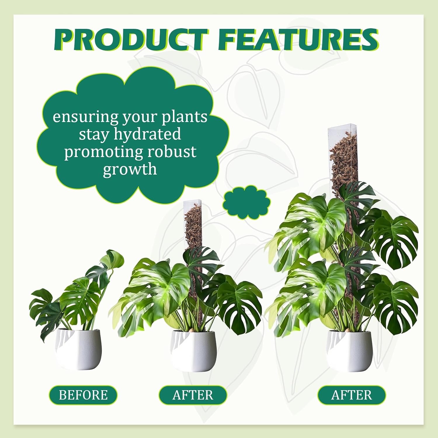 10 Pieces Plastic Moss Pole for Monstera Including 4 Pcs 24 Inch Clear Plant Poles for Indoor Climbing and 6 Pcs 15